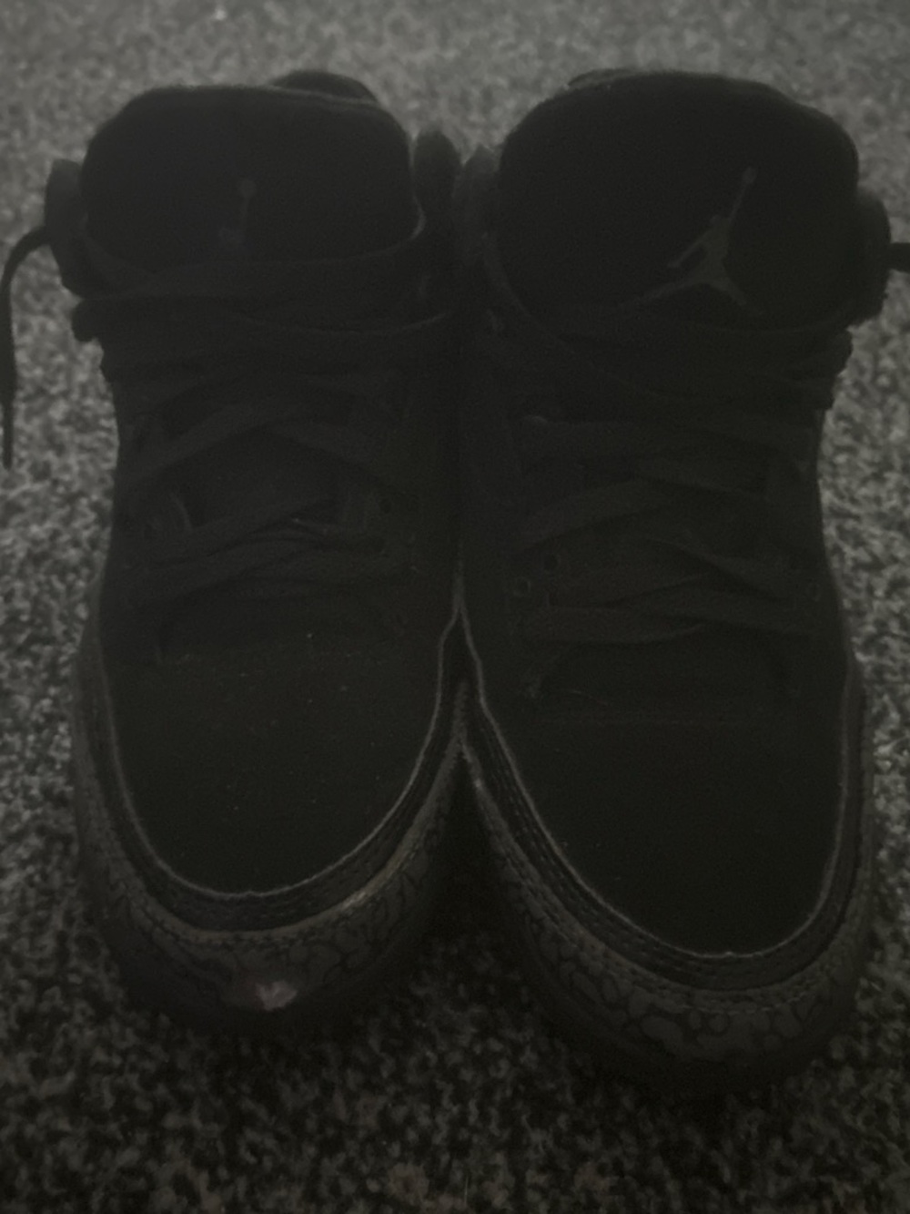Jordan 3 black cats